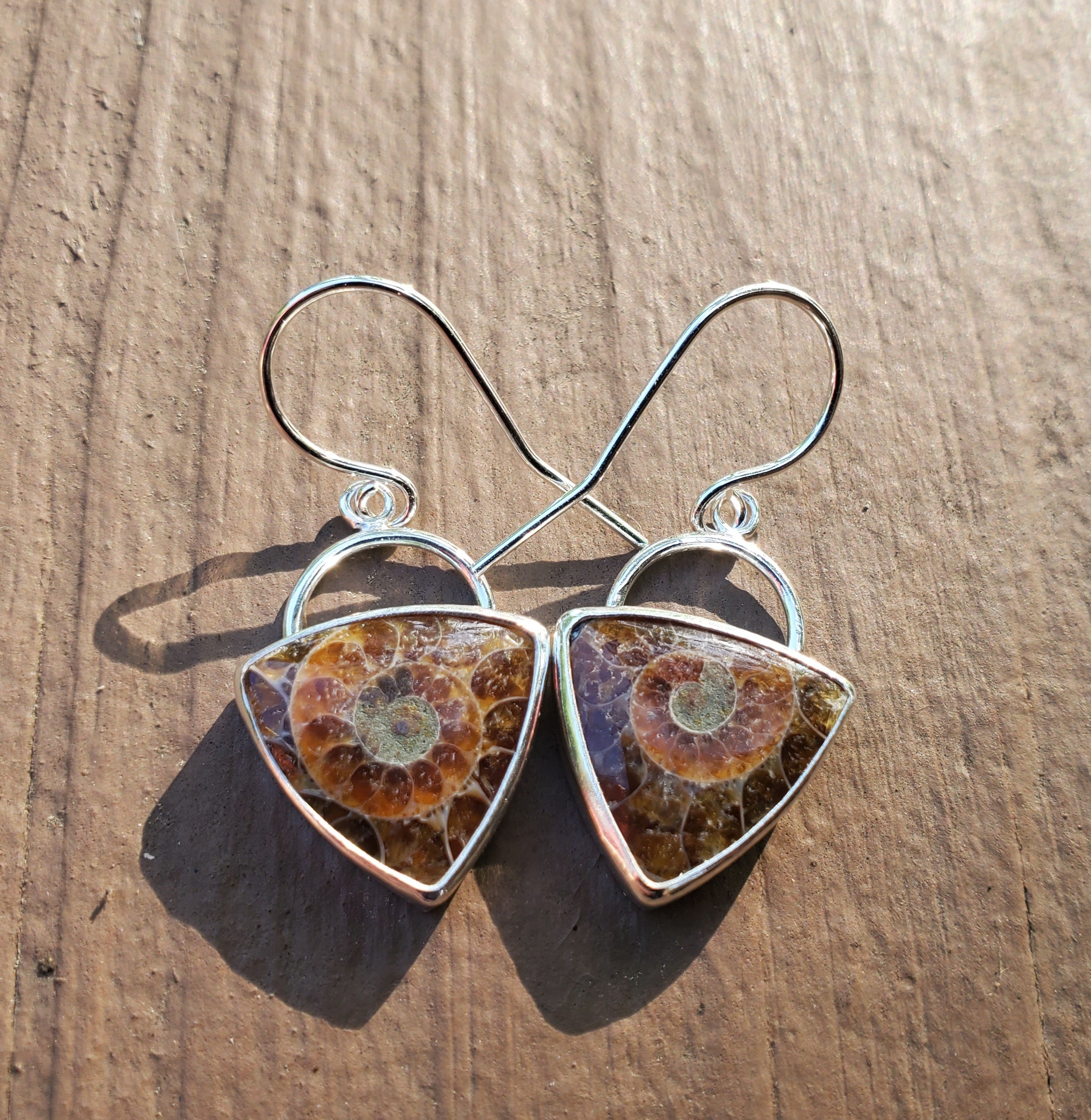 Ammonite Fossil Triangular Dangle Drop Earrings in Solid Sterling Silver