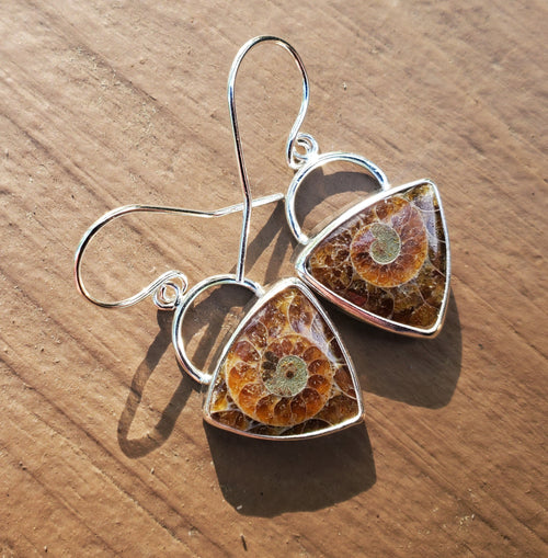Ammonite Fossil Triangular Dangle Drop Earrings in Solid Sterling Silver