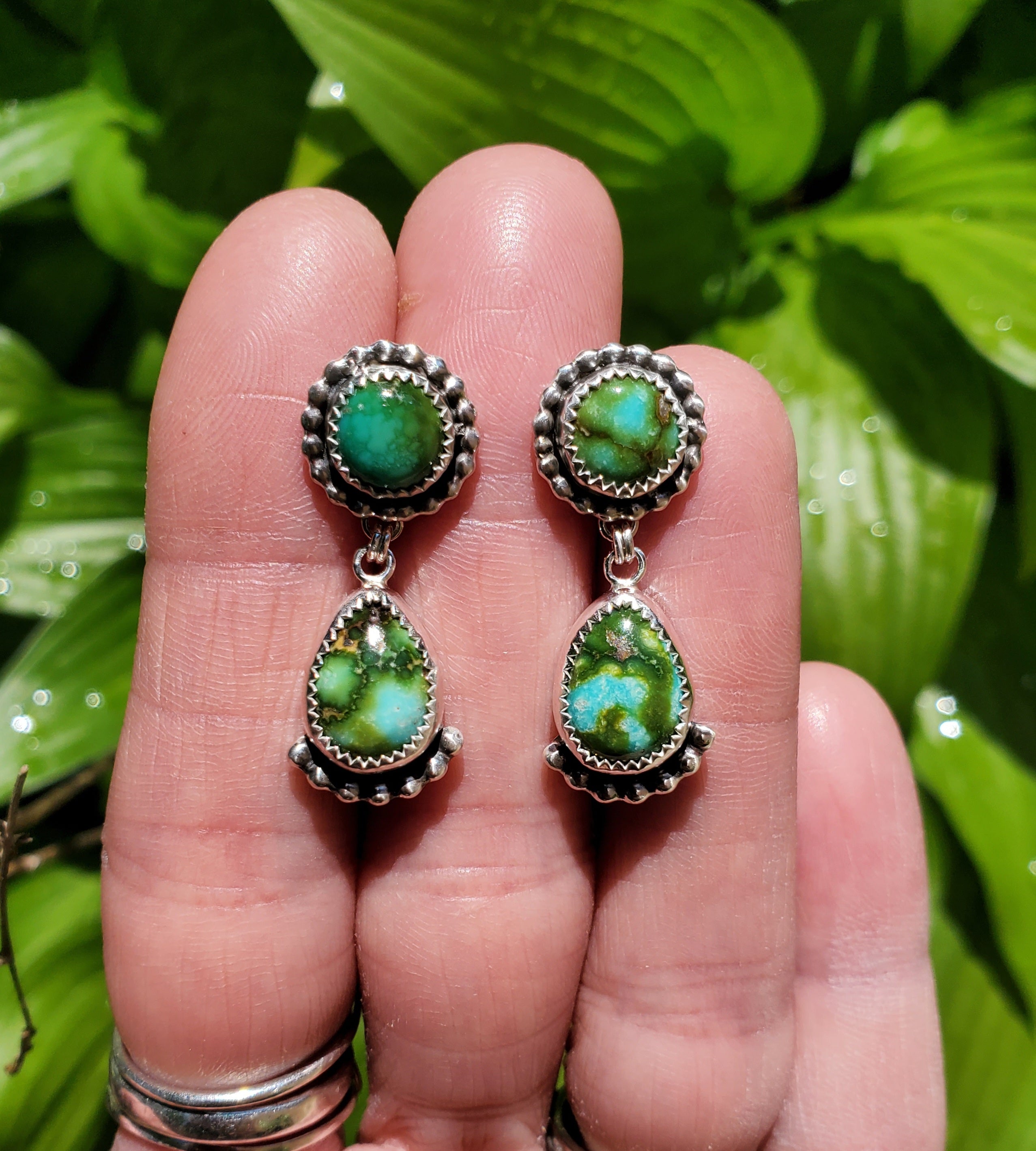 Gorgeous Sonoran Gold Turquoise Dangle Drop Earrings in Solid Sterling Silver