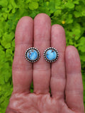 Golden Hills Turquoise Stud Earrings in Solid Sterling Silver