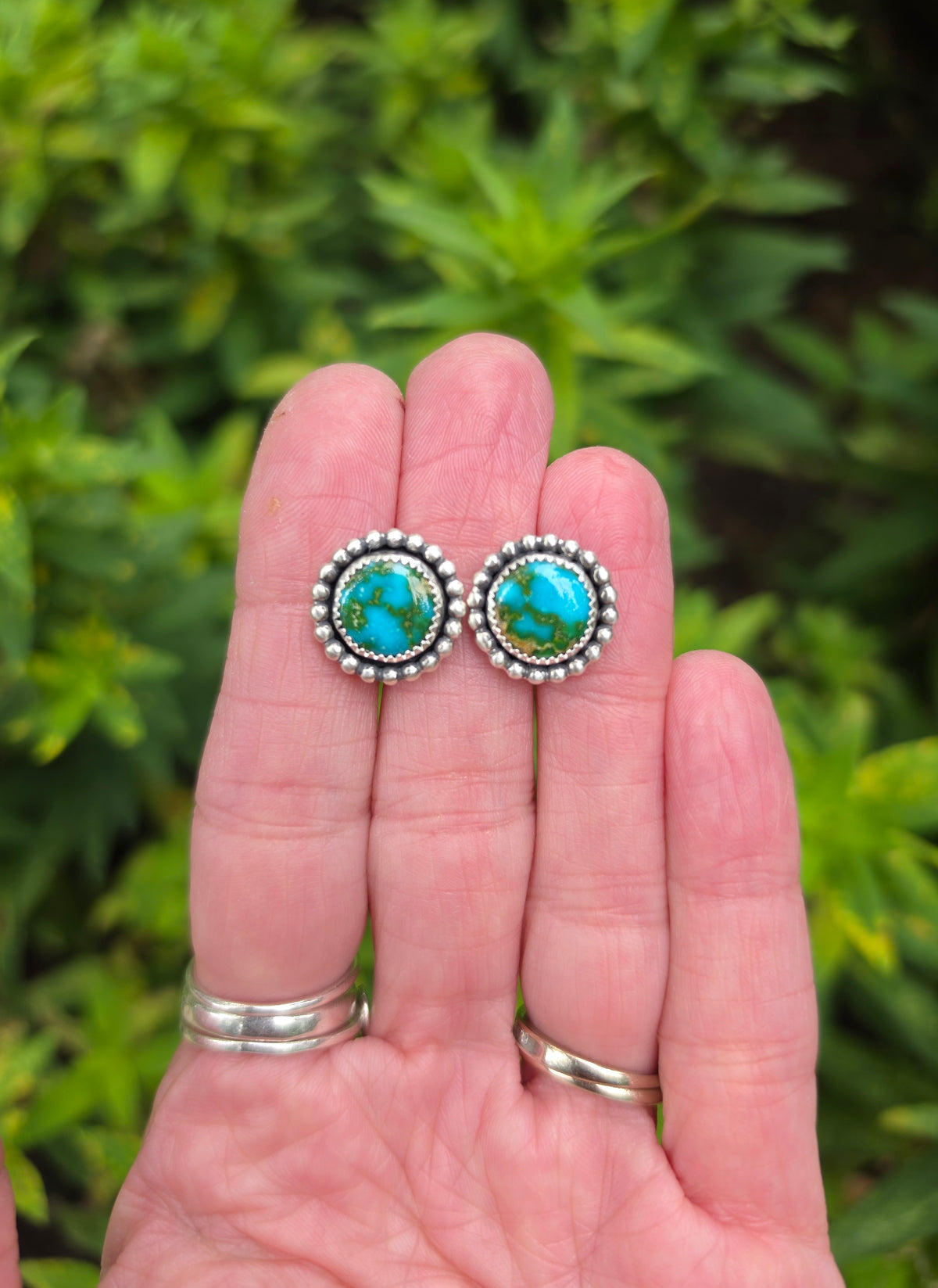 Sonoran Gold Turquoise Large Stud Earrings in Solid Sterling Silver