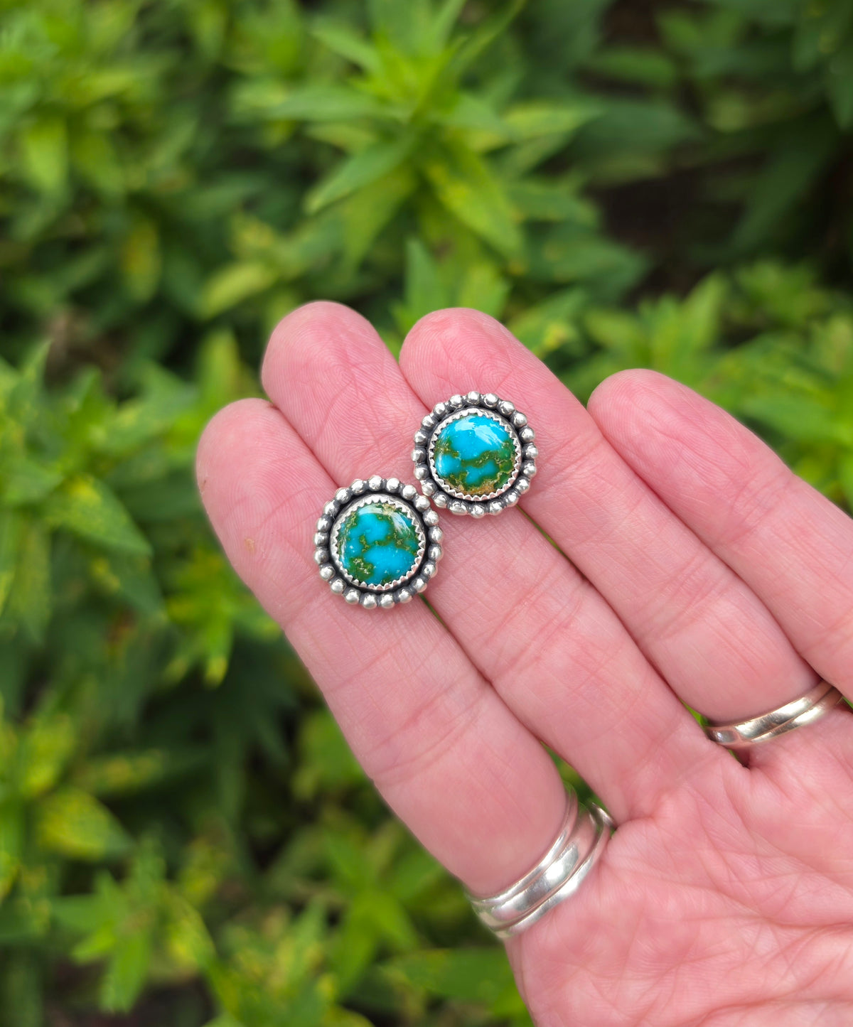Sonoran Gold Turquoise Large Stud Earrings in Solid Sterling Silver