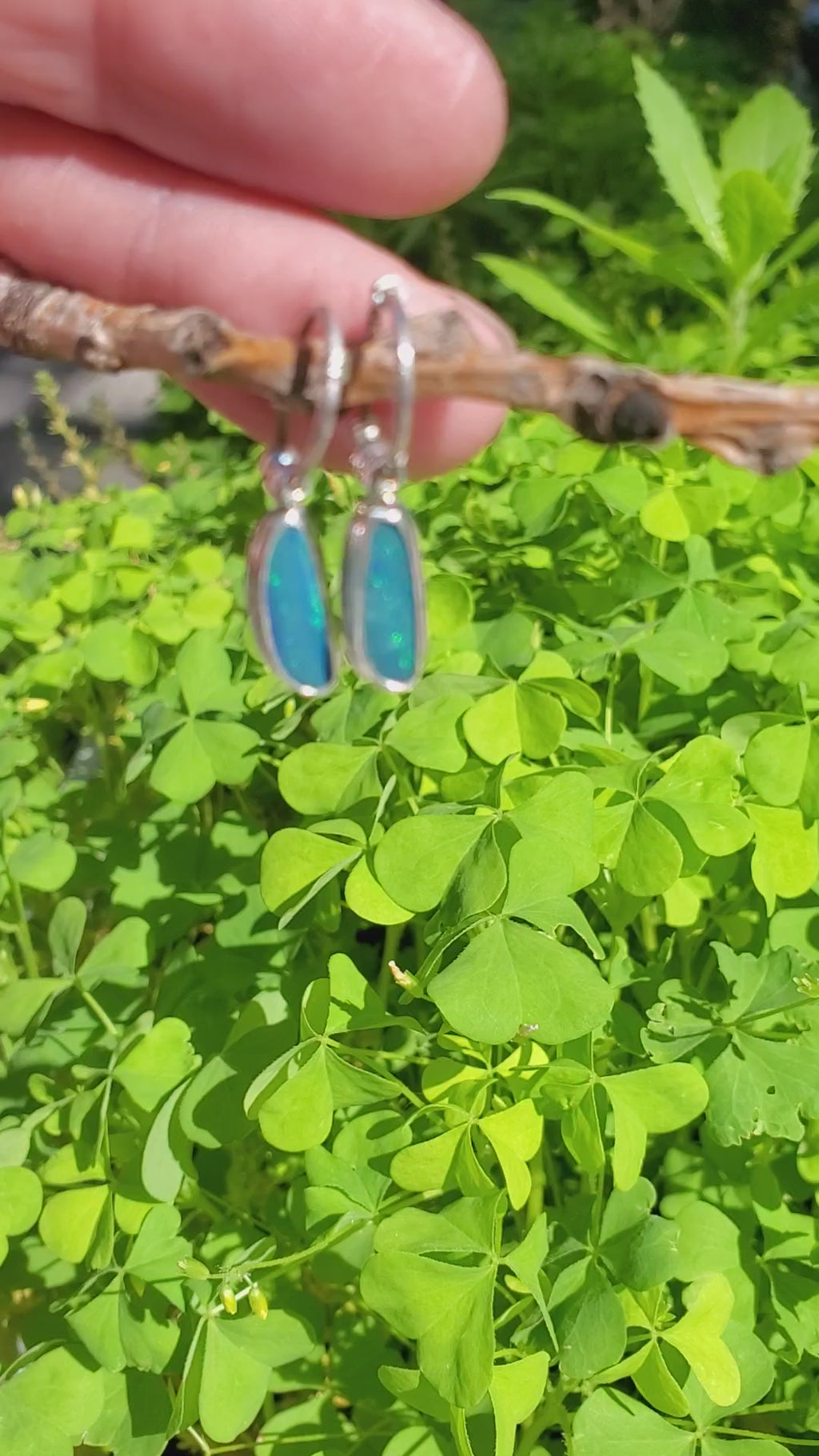 Australian Opal Hoop Dangle Earrings in Solid Sterling Silver